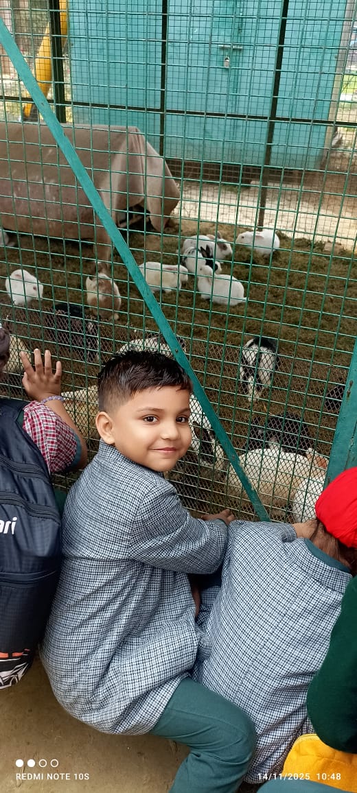 Picnic at Funcity 2025-26 